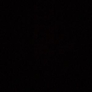 Meet your Posher, Damian